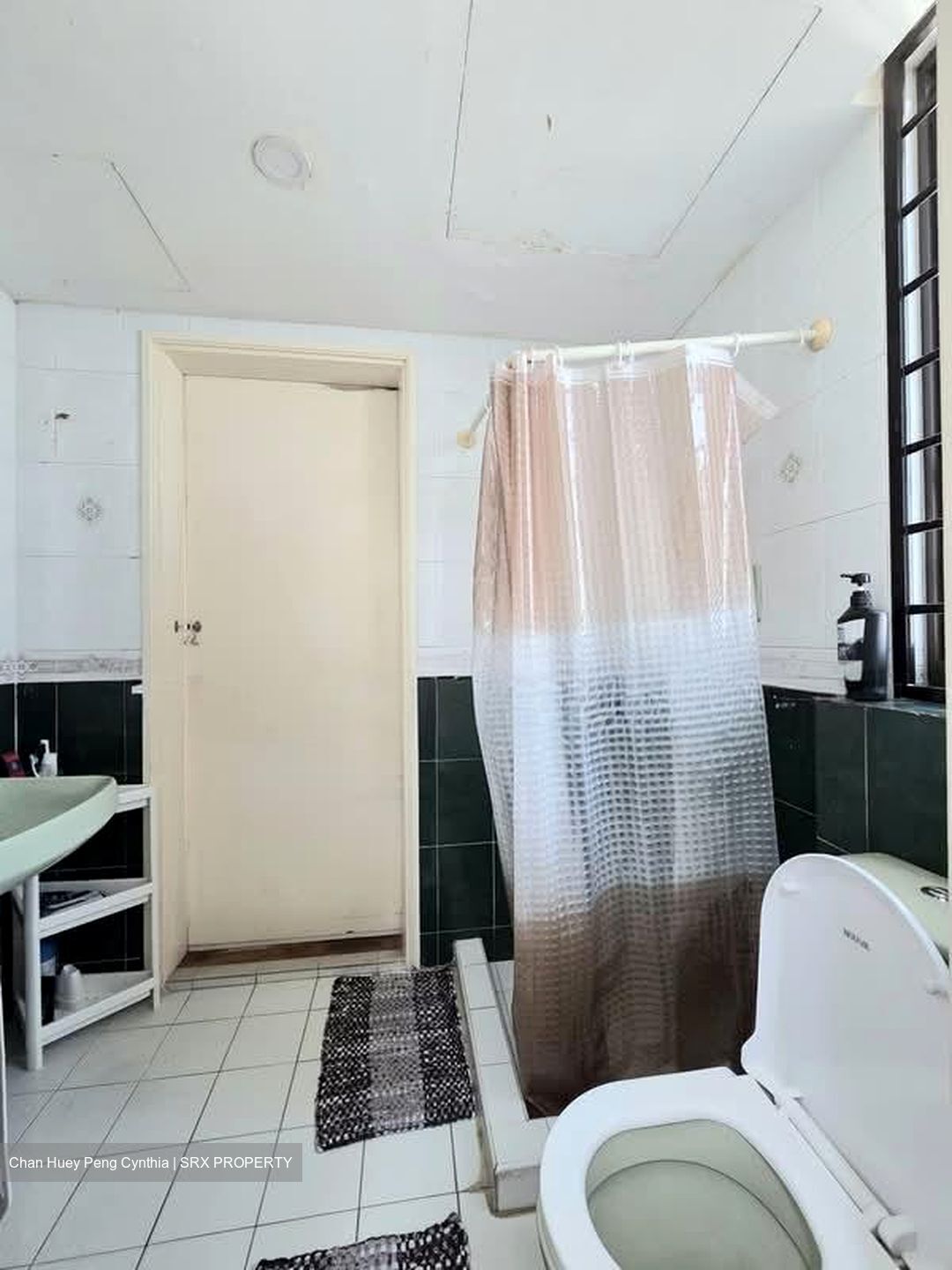 The Tanamera (D16), Condominium #600327421